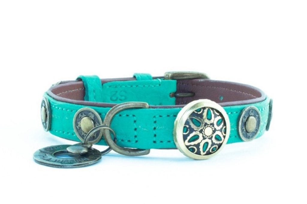 DWAM (Dog with a Mission) Halsband